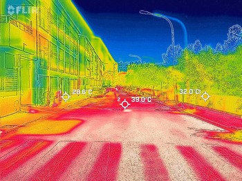Projecte d’arbrat viari per reduir l’efecte illa de calor - imatge 2